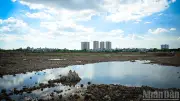 Dự án hồ điều hòa Cự Khối 972,5 tỷ đồng: Chống ngập cho phía đông Hà Nội