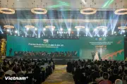 Dàn sao quốc tế hội tụ khai mạc Liên hoan phim châu Á Đà Nẵng lần thứ 4