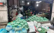 Dùng nước keo chất cấm 6-Benzylaminopurine sản xuất bán hơn 1000 tấn, 4 đối tượng bị khởi tố