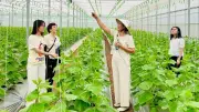 Du lịch 'từ trang trại đến bàn ăn' - Hướng đi xanh, bền vững cho nông sản Việt