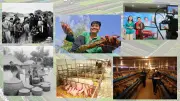 Dấu ấn 96 năm Hội Nông dân Việt Nam trên hành trình phát triển đất nước