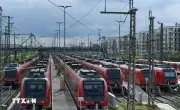 EU tổ chức diễn tập ứng phó tấn công mạng quy mô lớn