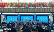 FAO: Việt Nam là ví dụ điển hình trong hợp tác Nam-Nam