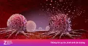 Gene thúc đẩy dậy thì sớm có thể tăng nguy cơ ung thư