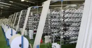 Giá bao bì nhựa tăng cao gây áp lực lên ngành xuất khẩu thủy sản 11 tỷ USD