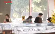 Giá bạc hôm nay 9/6: Bạc Phú Quý, DOJI, Ancarat, Sacombank, SBJ giảm còn bao nhiêu
