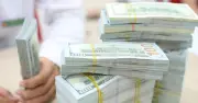 Giá USD ngân hàng tiếp tục tăng, euro giảm mạnh trong tuần