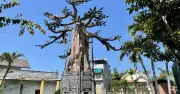 Gia Lai chi 23,9 tỉ đồng tu bổ di tích Nước Mặn - cái nôi chữ Quốc ngữ