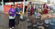 Giải cứu 400 chú mèo: Hành trình từ lở loét đến đoàn tụ
