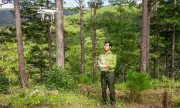Gần 21% diện tích rừng do xã quản lý: Thể chế và chất lượng thấp tạo vòng xoáy suy thoái
