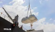 Gạo xuất khẩu tăng lượng nhưng giá vẫn chịu áp lực giảm