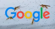 Google thả 32 triệu con muỗi công nghệ để chống dịch bệnh