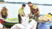Hồ Trị An: Hơn 254 tấn cá chết, người nuôi trắng tay