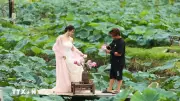 Hồ Tây ngát hương: Điểm đến của du khách mùa sen tháng Sáu