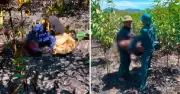 Hai vợ chồng tử vong trong rừng nghi do ngạt khói khi đốt thực bì