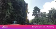 Hiện trường vụ tai nạn liên hoàn, xe container và ôtô lao xuống vực đèo Bảo Lộc