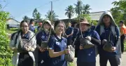 Hơn 1.000 cây bần trồng chống sạt lở tại Vĩnh Long
