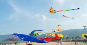 Hàng ngàn người đổ về biển Quy Nhơn chiêm ngưỡng lễ hội diều khổng lồ