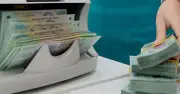 Hàng trăm ngàn doanh nghiệp tại TP.HCM ngừng hoạt động chưa đóng mã số thuế