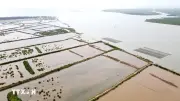 Hưng Yên khơi dậy động lực từ biên bứt phá tăng trưởng hai con số