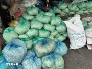 Hưng Yên khởi tố chủ cơ sở dùng hóa chất cấm sản xuất giá đỗ
