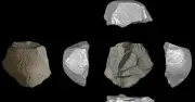 Homo Juluensis: Trung Quốc viết lại lịch sử loài người?
