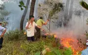 Huế: Chưa đầy một tuần xảy ra 4 vụ cháy rừng, thiệt hại gần 1 ha