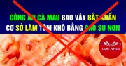 Đối tượng tung tin khô cá móc làm từ cao su non bị bắt tại Hà Nội
