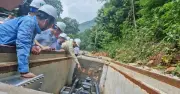Điện lưới quốc gia về Côn Đảo: Bước ngoặt phát triển kinh tế - xã hội