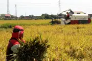 Indonesia tạo đòn bẩy ảnh hưởng giữa biến động toàn cầu