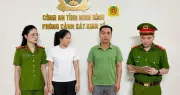 Khởi tố nhiều giám đốc công ty cây cảnh ở Ninh Bình về tội trốn thuế