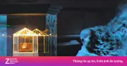 Khám phá ngôi chùa lưu giữ trái tim bất diệt của Hòa thượng Thích Quảng Đức