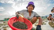 Khám phá vẻ đẹp hoang sơ của Hòn Đen ở Khánh Hòa