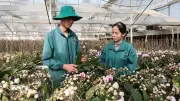 Khoa học công nghệ là động lực trung tâm thúc đẩy tăng trưởng kinh tế