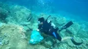 Khoa học đóng vai trò then chốt trong bảo vệ đại dương