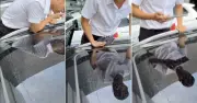 Kính cửa sổ trời Volkswagen bị vỡ: Giám định độc lập tìm nguyên nhân