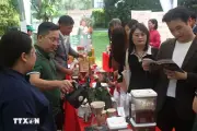 Lễ hội cà phê Việt Nam tại Singapore: Định hình giá trị thương hiệu và văn hóa