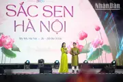 Lễ hội Sen Hà Nội 2026: Tôn vinh tinh hoa sen Việt và du lịch thủ đô
