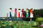 Lễ hội Sen Đồng Tháp lần thứ 3 khai mạc, dự kiến đón nửa triệu khách