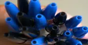 Lỗ nhỏ trên nắp bút bi: Thiết kế cứu người trong gang tấc