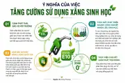 Lộ trình phổ cập xăng E10: Bước đi chiến lược vì năng lượng sạch