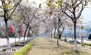 Lai Châu triển khai chương trình kích cầu tạo đà bứt phá cho du lịch xanh