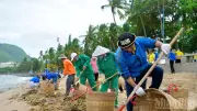 Lục bình dạt vào bãi biển Vũng Tàu dày đặc, chính quyền khẩn trương dọn dẹp