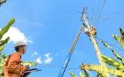 Lịch cúp điện TP Cần Thơ từ 29/6 đến 5/7: Ninh Kiều, Thới Lai, Cờ Đỏ, Bình Thủy bị cắt điện cả ngày