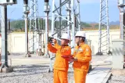 Lợi nhuận EVN năm 2025 tăng gấp 6,3 lần nhờ cải thiện hiệu quả