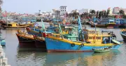Lâm Đồng khẩn trương khắc phục tồn tại trong chống khai thác IUU