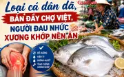Loại cá giàu canxi giúp giảm đau nhức xương khớp hiệu quả