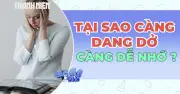 Ám ảnh bởi những điều dang dở: Cơ chế não bộ và cách vượt qua