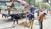 Mùa hè Hà Nội nóng bức: Khoảng trống cây xanh và nỗi lo đô thị