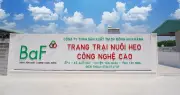 Mua lại 99,99% cổ phần nhưng không thông báo, BAF Việt Nam bị xử phạt